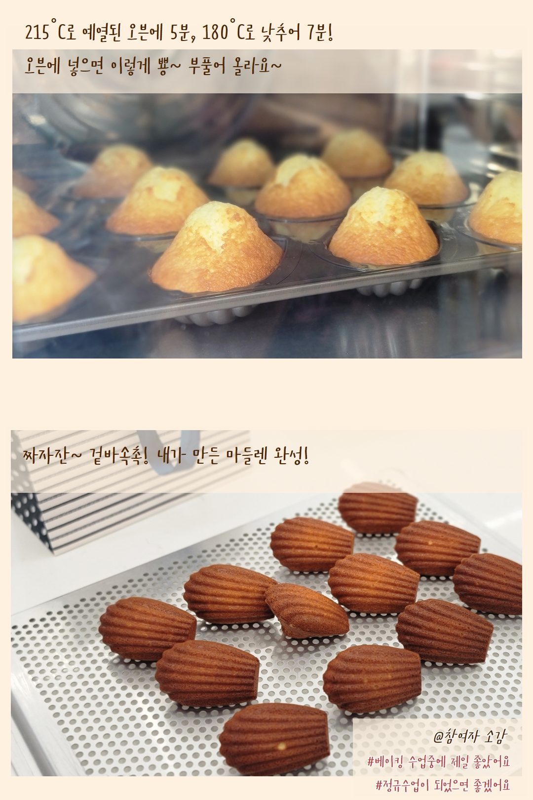 원데이클래스 마들렌 만들기 후기