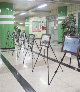크기변환_P1012337.JPG